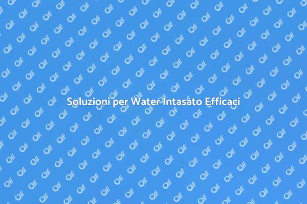 Come Sbloccare il Water Intasato