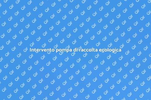 Sostituzione pompa di raccolta parco