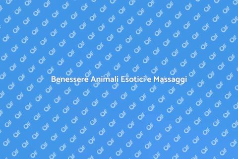 Massaggiatore per Animali Esotici