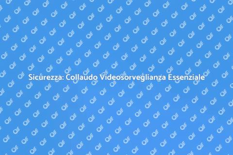 Collaudo Videosorveglianza: Sicurezza
