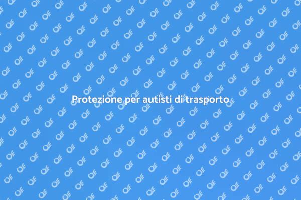 L'assicurazione essenziale per autisti