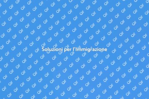 Supporto all'Immigrazione Efficace