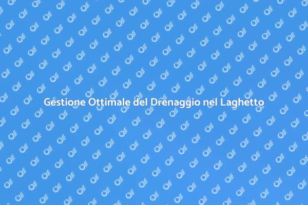 Drenaggio Efficace per il Laghetto da Giardino