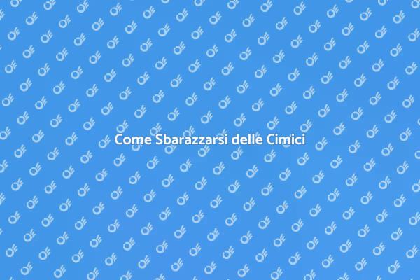 Sconfiggi le Cimici da Letto Ora