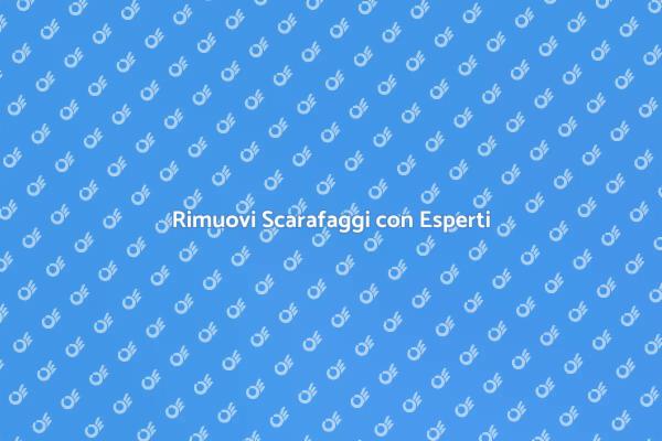 Liberati dai Scarafaggi Oggi Stesso