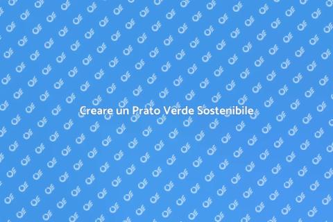Prato Ecologico Tutto l'Anno