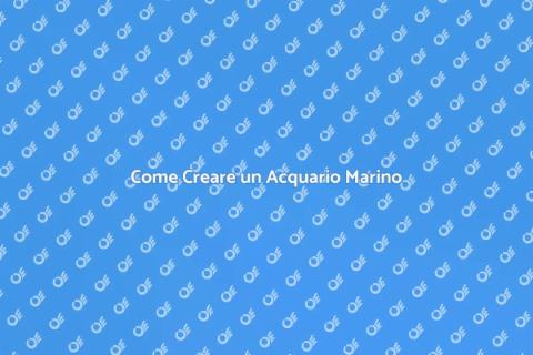 Installazione Acquario Marino: Guida
