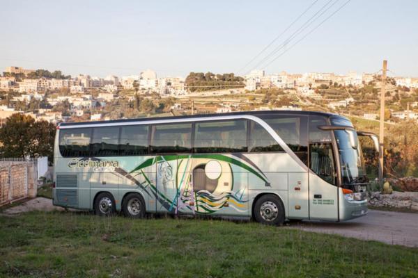 Ciccimarra Carlo e Figli Srl  - Foto 22