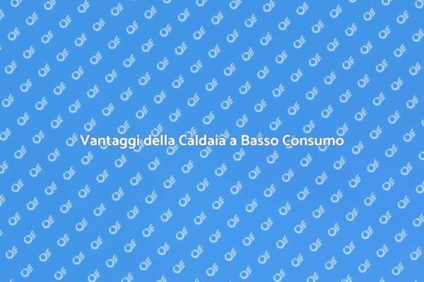 Comfort e Sostenibilità: Caldaia Efficiente