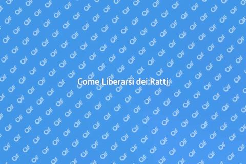 Disinfestare i Ratti Efficacemente
