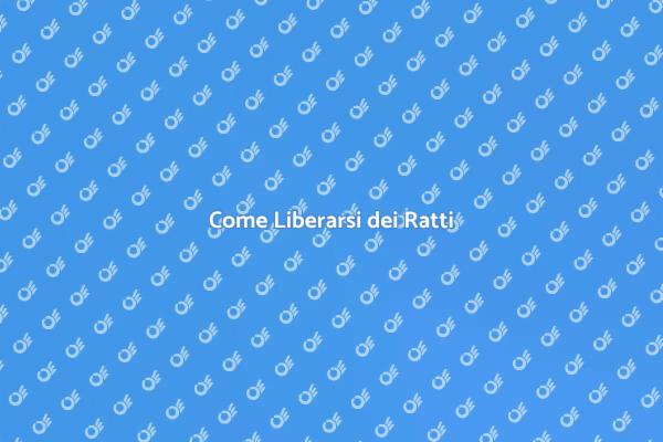 Affronta l'Infestazione da Ratti