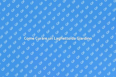 Manutenzione Laghetto da Giardino