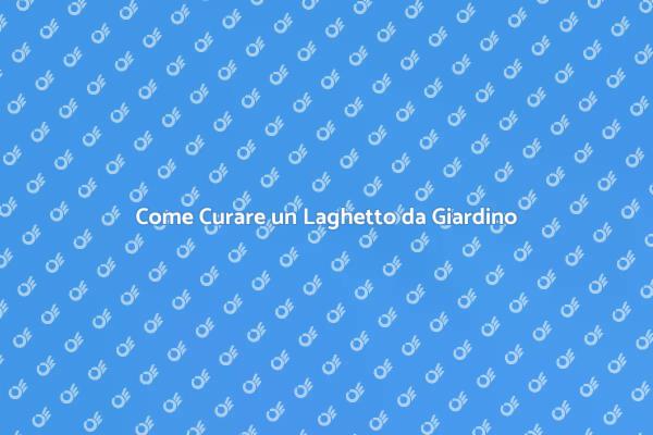 Guida alla Manutenzione del Laghetto
