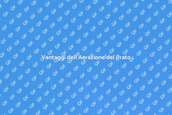 Aerazione: Chiave per un Prato Sano