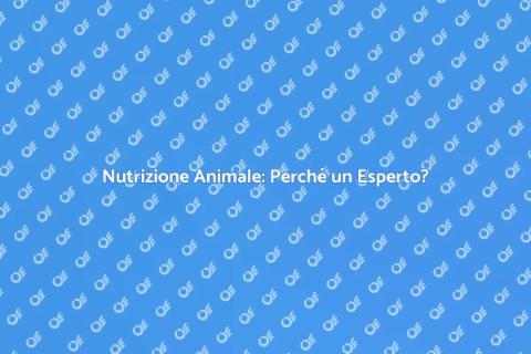 Nutrizionista per Animali: Salute Garantita