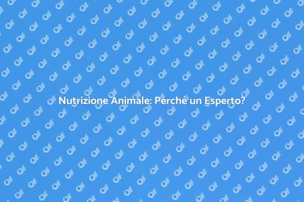 Nutrizione per Animali: Scegli un Professionista