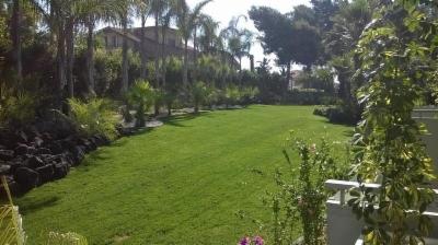 Sicil Verde  - Foto 2