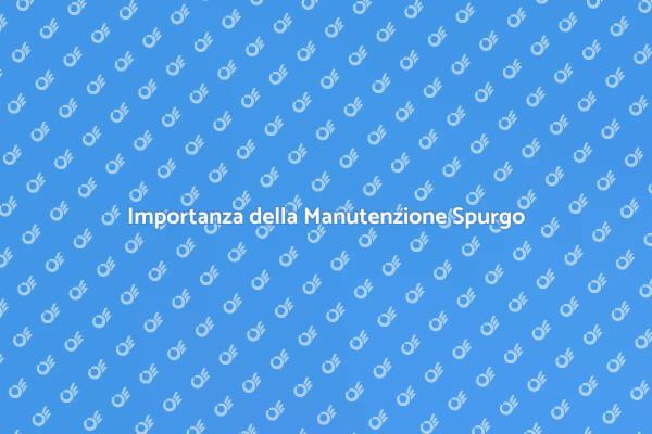 Manutenzione dei Sistemi di Spurgo Cruciale