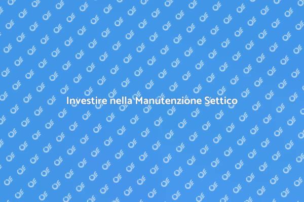 Efficienza e Manutenzione Settico