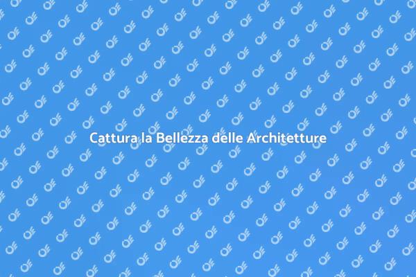 Catturare l'Essenza degli Edifici
