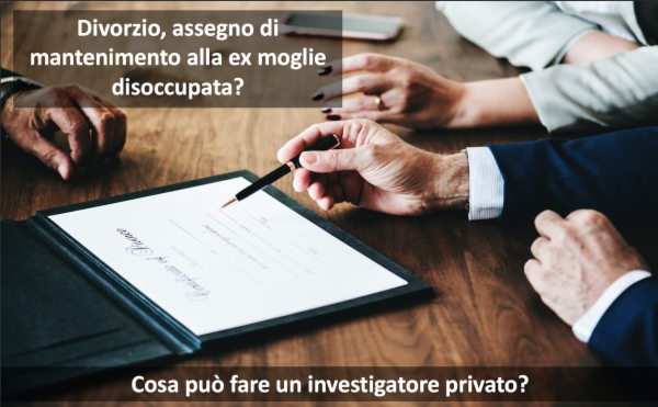 Investigazioni Lex - Foto 6