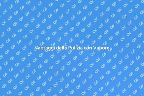 Pulizia Esterni Veicolo con Vapore