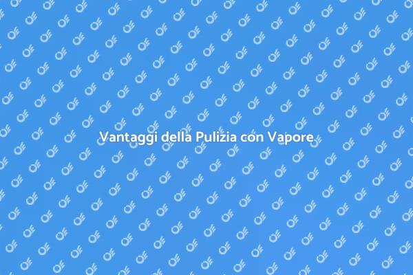 Pulizia Efficace del Veicolo con Vapore