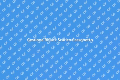 Scarico Cassonetto: Servizio Essenziale
