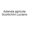 Scortichini Luciano 