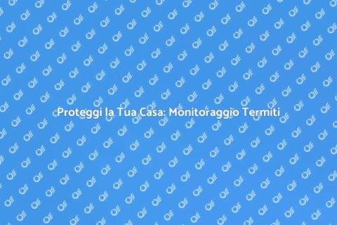 Monitoraggio Termiti: Proteggi Casa