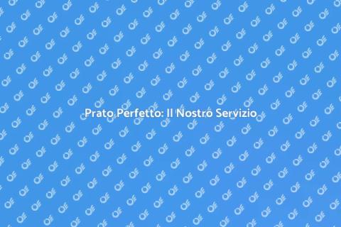 Servizio Prato: Il Tuo Giardino Verde