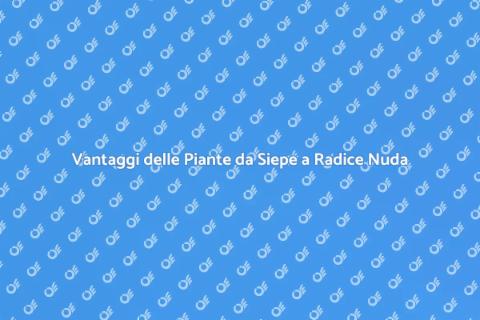 Piante da Siepe a Radice Nuda