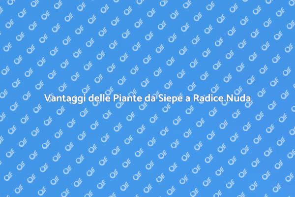 Scopri le Migliori Piante da Siepe