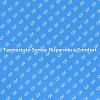 Riscaldamento Efficiente con Termostato Sonda