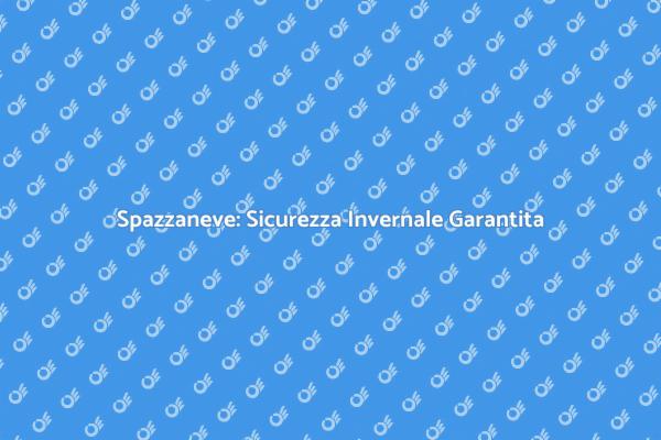 Rimozione Neve: Il Tuo Servizio Affidabile