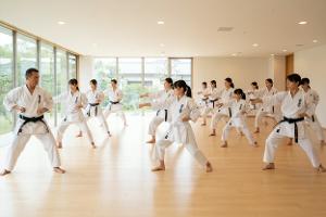 lezione di karate: Da €25