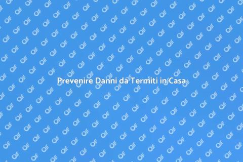 Controllo Periodico delle Termiti