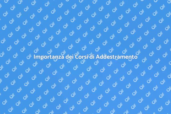 Costruire un Legame con il Tuo Cane