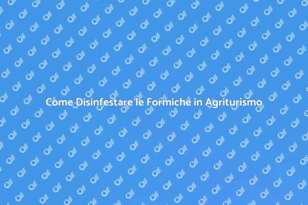 Disinfestazione delle Formiche: Guida Pratica