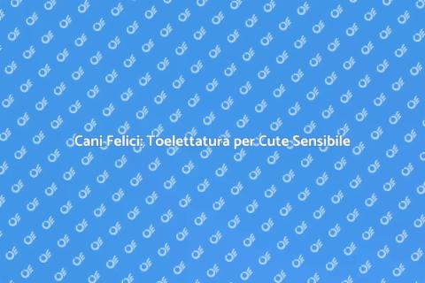 Toelettatura Cani con Problemi Cute
