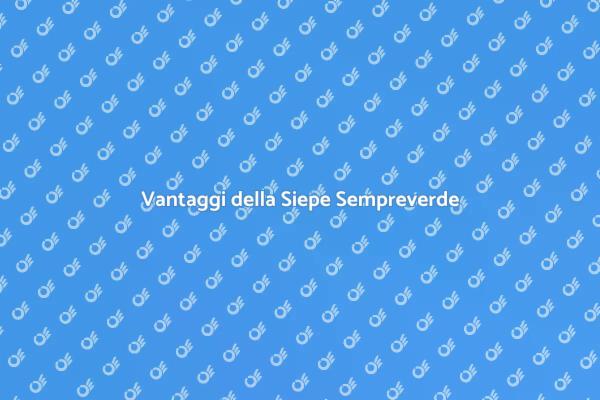 Siepe Perenne: Il Giardino Ideale