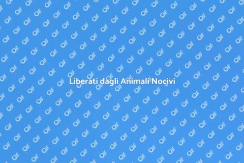 Disinfestazione Animali Nocivi