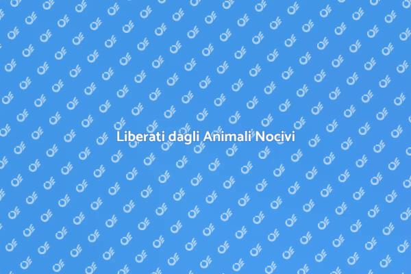 Disinfestazione: Stop agli Infestanti