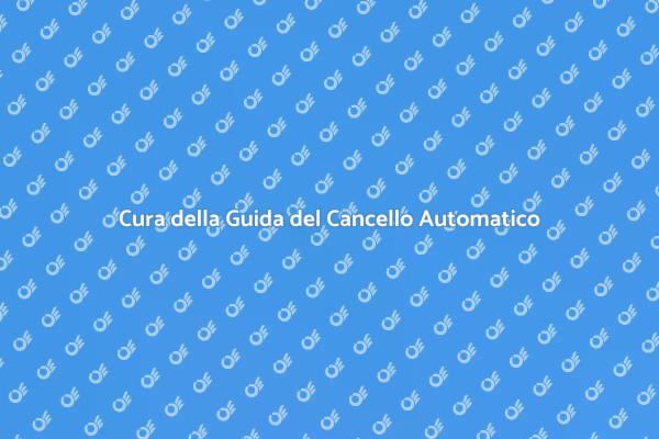Manutenzione Sicura per Cancelli Automatici