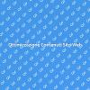 Strategie per Gestire Contenuti Web