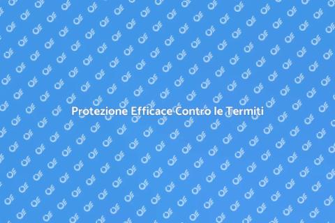 Garanzia Anti Termiti: Proteggi Casa
