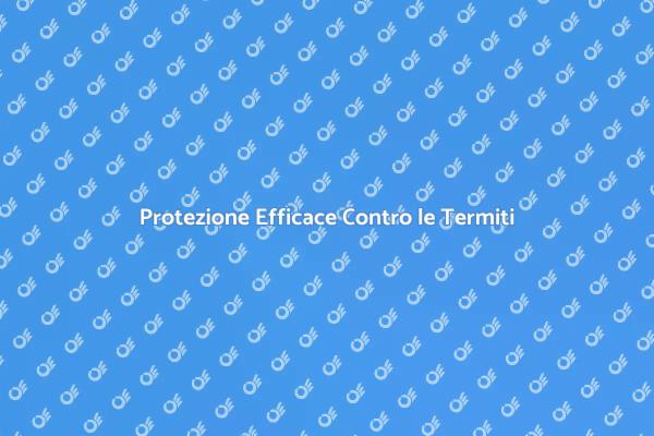 Proteggi la Tua Casa dalle Termiti