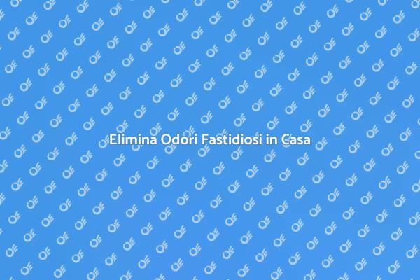 Guida alla Rimozione degli Odori