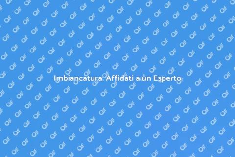 Professionista per l'Imbiancatura