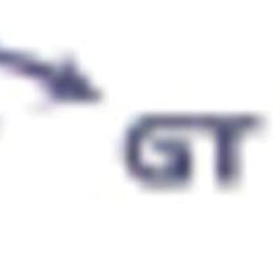Gt System